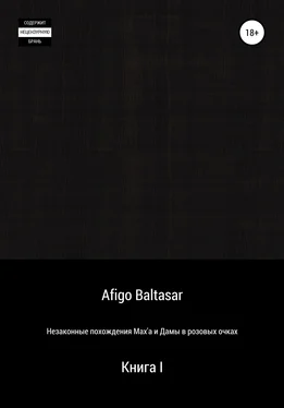 Afigo Baltasar Незаконные похождения Max'a и Дамы в розовых очках. Книга 1 обложка книги