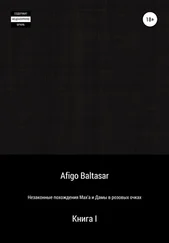 Afigo Baltasar - Незаконные похождения Max'a и Дамы в розовых очках. Книга 1