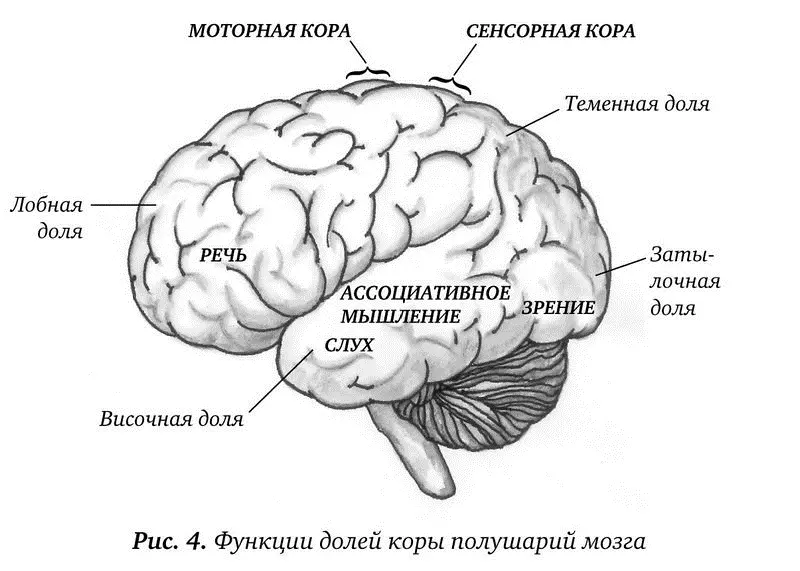 Целью исследований доктора Келли было определение способов эффективного - фото 4