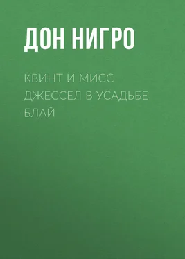 Дон Нигро Квинт и мисс Джессел в усадьбе Блай обложка книги