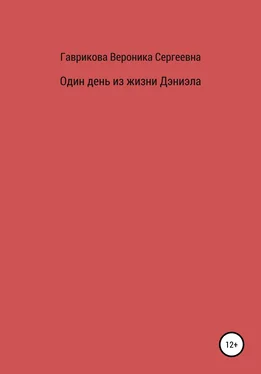 Вероника Гаврикова Один день из жизни Дэниэла обложка книги