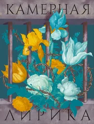 Array Антология - Камерная лирика