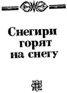 Далекие ветры - изображение 3