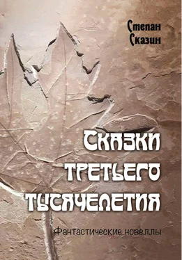 Степан Сказин Сказки третьего тысячелетия обложка книги