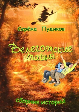 Серёжа Пудиков Велегожские тайны. Сборник историй обложка книги