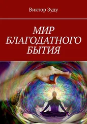 Виктор Зуду - Мир благодатного бытия. Мы сами создаем свои миры