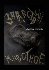 Максим Чопчиян - Здравствуй, животное