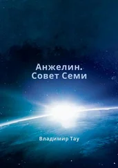Владимир Тау - Анжелин. Совет Семи