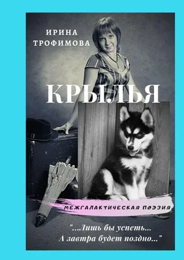 Ирина Трофимова Крылья обложка книги