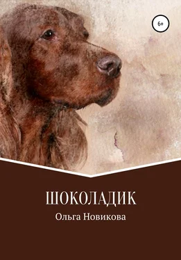 Ольга Новикова Шоколадик обложка книги