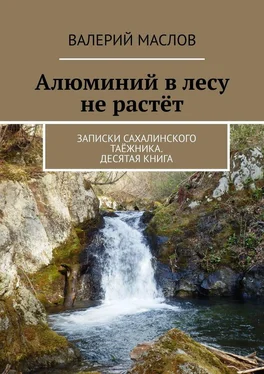 Валерий Маслов Алюминий в лесу не растёт. Записки сахалинского таёжника. Десятая книга обложка книги