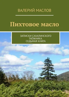 Валерий Маслов Пихтовое масло. Записки сахалинского таёжника. Седьмая книга обложка книги