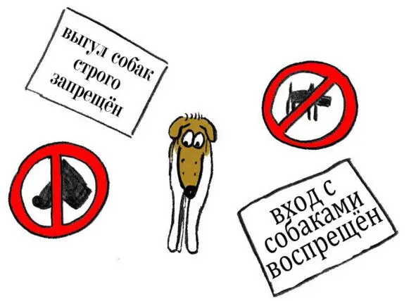 Бойцовые породы в семье с маленькими детьми также неуместны сколько бы вам не - фото 27