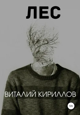 Виталий Кириллов Лес обложка книги