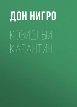 Дон Нигро Ковидный карантин обложка книги