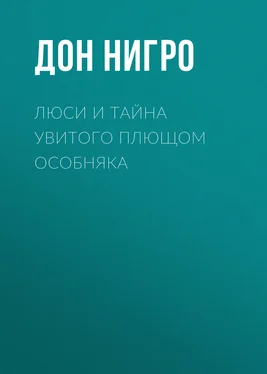 Дон Нигро Люси и тайна увитого плющом особняка обложка книги