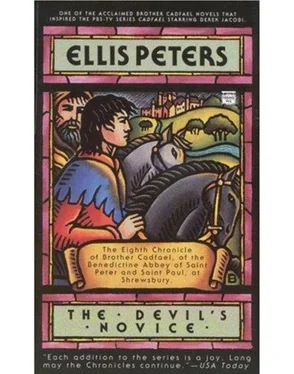 Ellis Peters Devil's Novice обложка книги