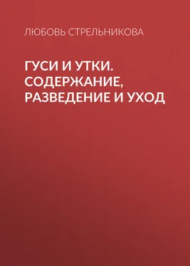 Любовь Стрельникова Гуси и утки. Содержание, разведение и уход обложка книги