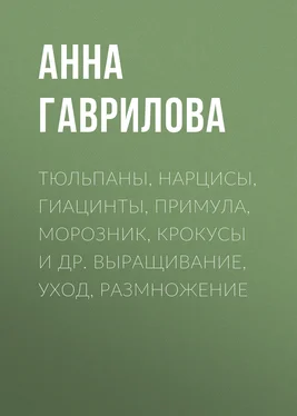 Анна Гаврилова Тюльпаны, нарцисы, гиацинты, примула, морозник, крокусы и др. Выращивание, уход, размножение обложка книги