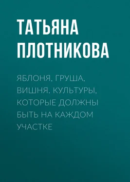 Татьяна Плотникова Яблоня, груша, вишня. Культуры, которые должны быть на каждом участке обложка книги