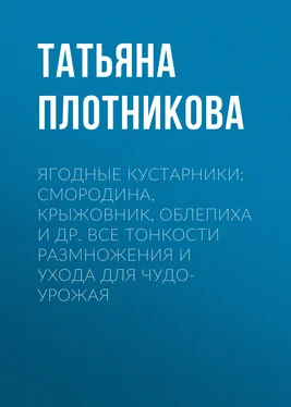 Татьяна Плотникова Ягодные кустарники: смородина, крыжовник, облепиха и др. Все тонкости размножения и ухода для чудо-урожая обложка книги