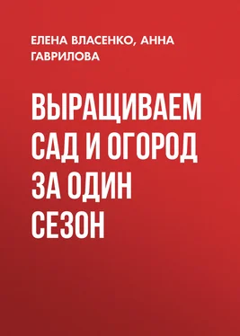 Елена Власенко Выращиваем сад и огород за один сезон обложка книги