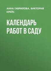 Виктория Крейс - Календарь работ в саду