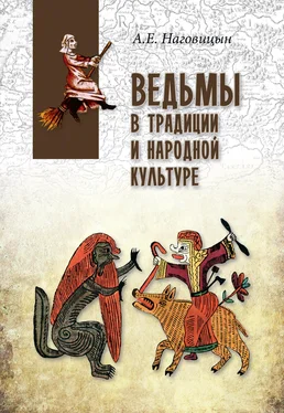 Алексей Наговицын Ведьмы в традиции и народной культуре обложка книги