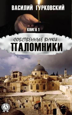 Василий Гурковский Паломники обложка книги