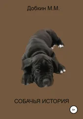 Михаил Добкин - Собачья история