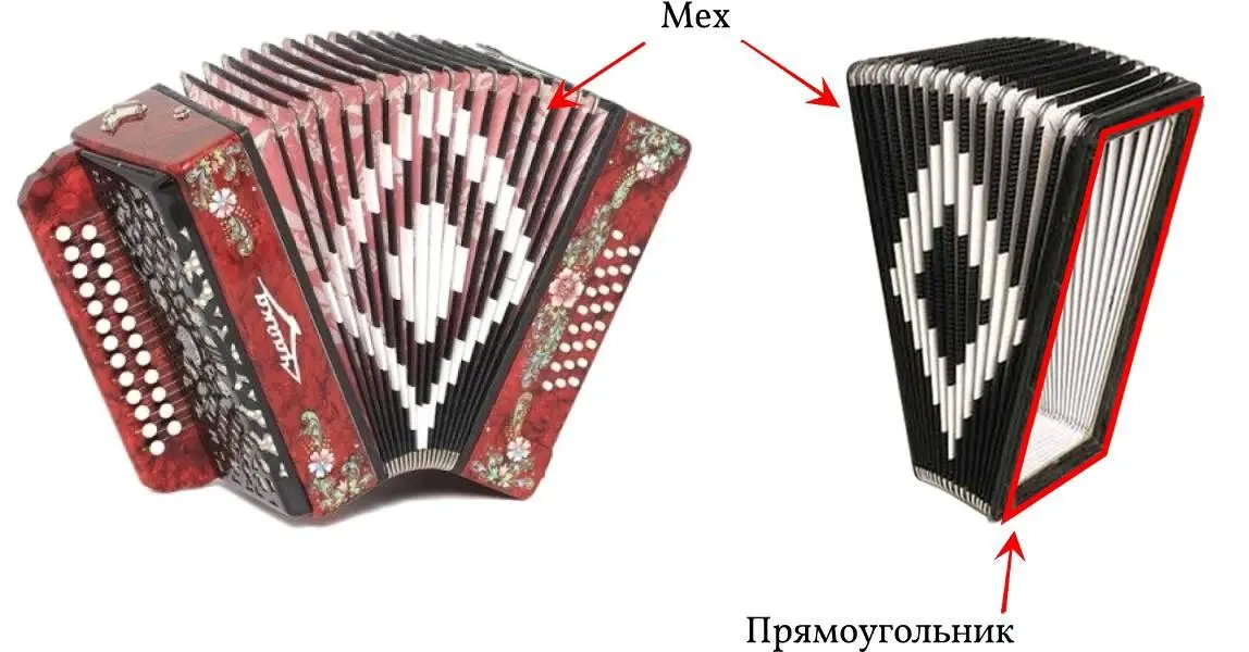 Фото гармони и ее меха Фото сильфона Перебирая детские игрушки Беляк - фото 5