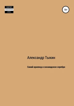 Александр Тыкин Синий краевед и сасанидское серебро обложка книги