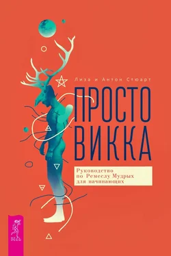 Лиза Стюарт Просто Викка. Руководство по Ремеслу Мудрых для начинающих обложка книги