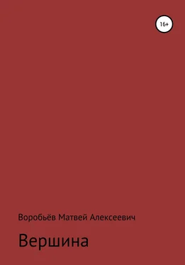 Матвей Воробьёв Вершина обложка книги