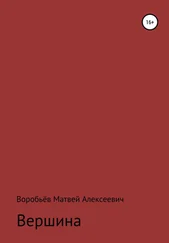Матвей Воробьёв - Вершина