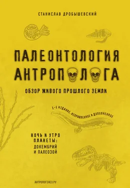 Станислав Дробышевский Палеонтология антрополога. Книга 1. Докембрий и палеозой обложка книги