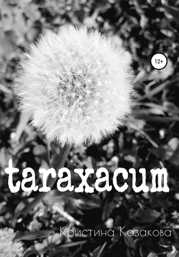 Кристина Казакова taraxacum обложка книги