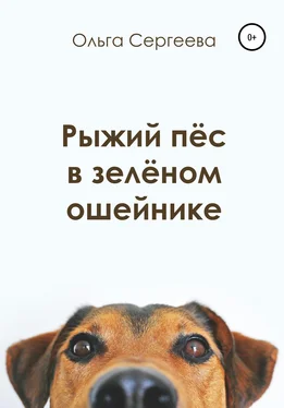 Ольга Сергеева Рыжий пёс в зелёном ошейнике обложка книги