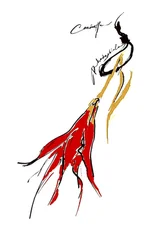 Carinetta - Rhodophiala