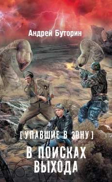 Андрей Буторин Упавшие в Зону. В поисках выхода обложка книги