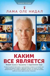 Оле Нидал - Каким все является. Живой подход к буддизму в современном мире