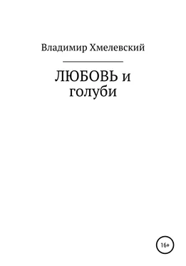 Владимир Хмелевский Любовь и голуби обложка книги