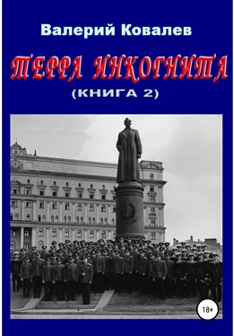 Валерий Ковалев Терра инкогнита. Книга 2 обложка книги