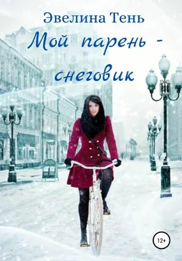 Эвелина Тень Мой парень – снеговик обложка книги