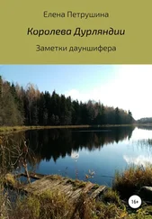 Елена Петрушина - Королева Дурляндии