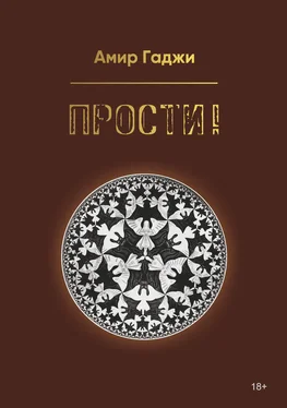 Амир Гаджи Прости! обложка книги