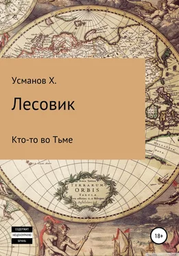 Хайдарали Усманов Лесовик. Кто-то во Тьме обложка книги