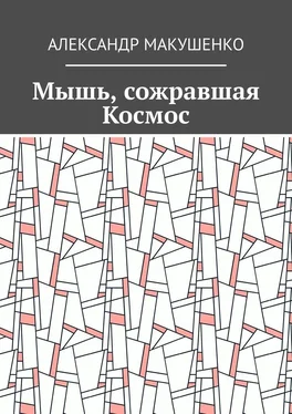 Александр Макушенко Мышь, сожравшая Космос обложка книги