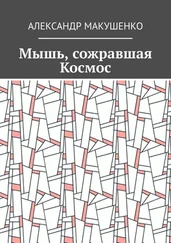 Александр Макушенко - Мышь, сожравшая Космос