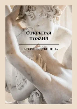 Екатерина Дубинина Открытая поэзия. Дай волю чувствам! обложка книги